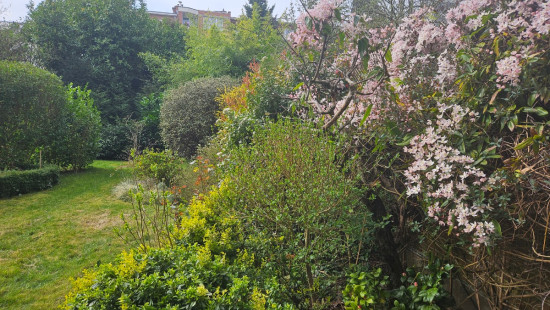 Avenue Armand Huysmans - 85 - - 1050