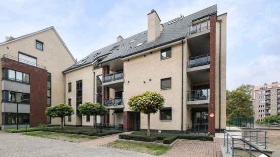 Grotestraat - 96 - 31 - 3600