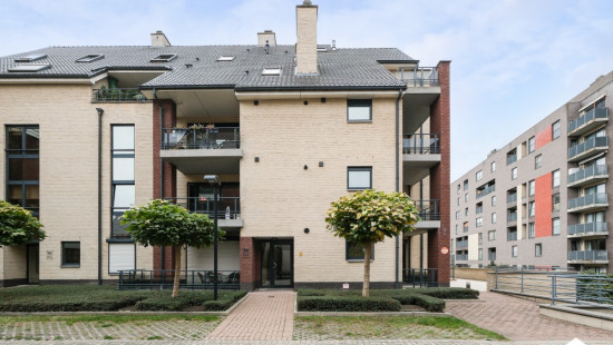 Grotestraat - 96 - 31 - 3600