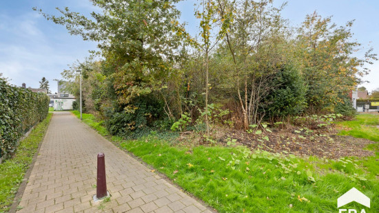 Beiaardgalm - ZN - - 3920