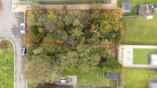 Beiaardgalm - ZN - - 3920