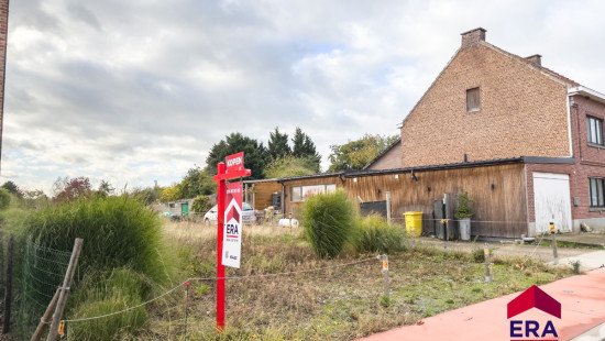 Netelzeepstraat - 31 - C - 3460