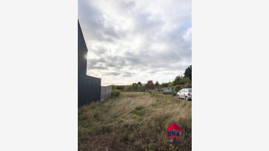 Netelzeepstraat - 31 - C - 3460