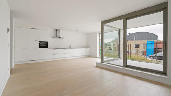 Oppemstraat - 29 - 01 - 1861