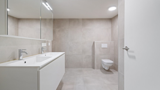 Oppemstraat - 29 - 01 - 1861