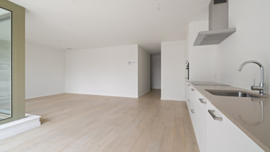 Oppemstraat - 29 - 01 - 1861