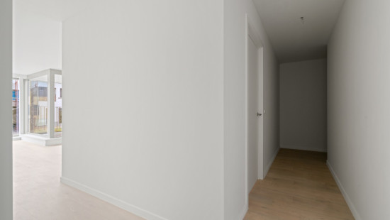 Oppemstraat - 29 - 01 - 1861