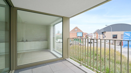 Oppemstraat - 29 - 01 - 1861