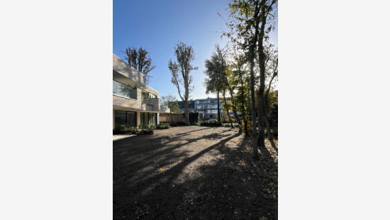 Processiestraat - 3A - 11 - 8790