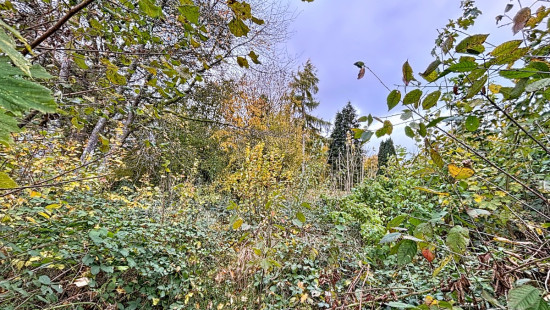 Andrimont - - - - 4987