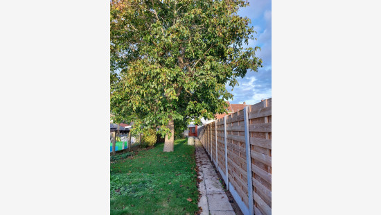 Barrierestraat - 59 - - 8940