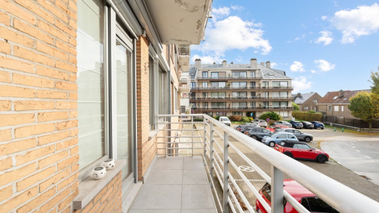 Kleine Wouwer - 31 - - 1860