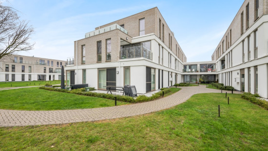 Nieuwe Molenstraat - 136Y - 105 - 9100