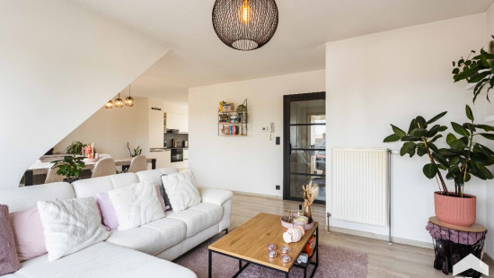 Krakeelstraat - 2 - - 9450