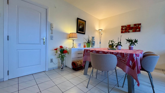 Albert Biesmanslaan - 20 - 4/2 - 1560