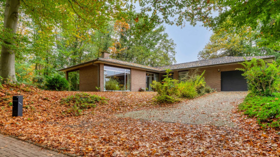 Regastraat - 25 - - 3110