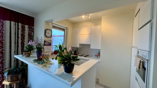 Albert Biesmanslaan - 20 - 4/2 - 1560