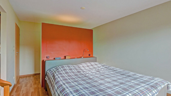 Clos du Champ Aux Anes - 1 - - 1310