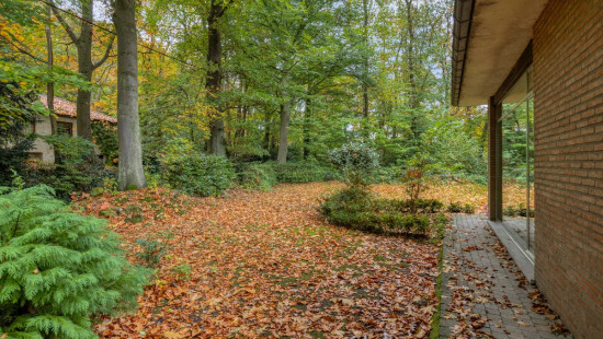 Regastraat - 25 - - 3110