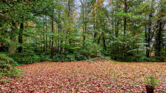 Regastraat - 25 - - 3110