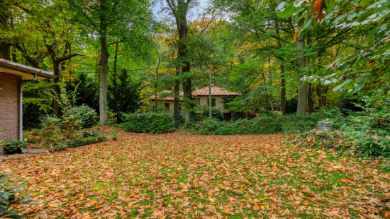 Regastraat - 25 - - 3110