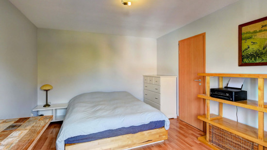 Clos du Champ Aux Anes - 1 - - 1310