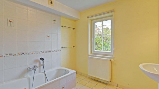 Clos du Champ Aux Anes - 1 - - 1310