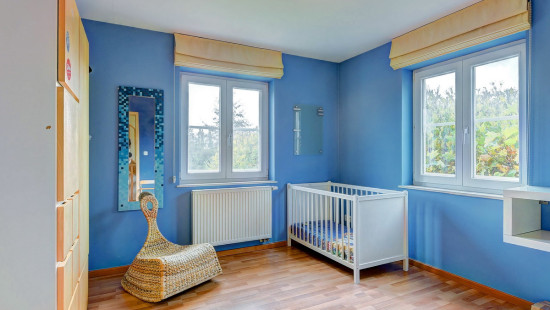 Clos du Champ Aux Anes - 1 - - 1310