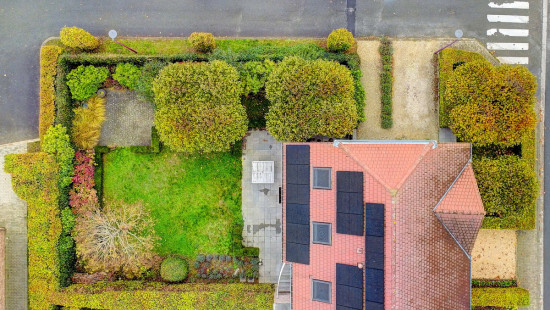 Clos du Champ Aux Anes - 1 - - 1310