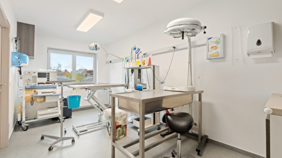 Grote Daalstraat - 30 - - 1930