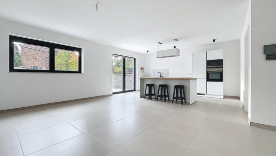 Rue Fontaine Deltour - 20 - A - 4540