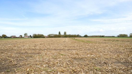 Meuleken - 33 - - 9961