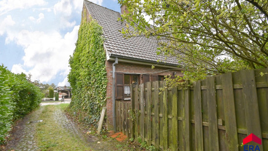 Bloemenlus - 4 - - 9920