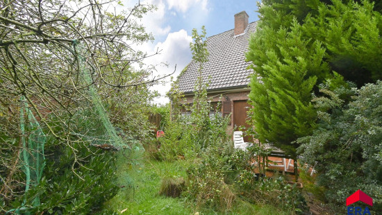 Bloemenlus - 4 - - 9920