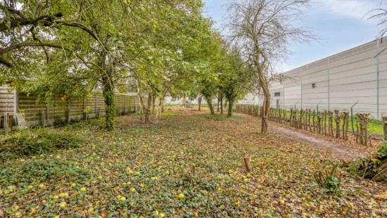 Bossenstraat - 37 - - 8710