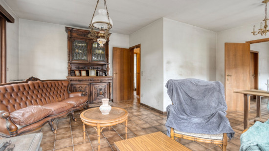 Bossenstraat - 37 - - 8710