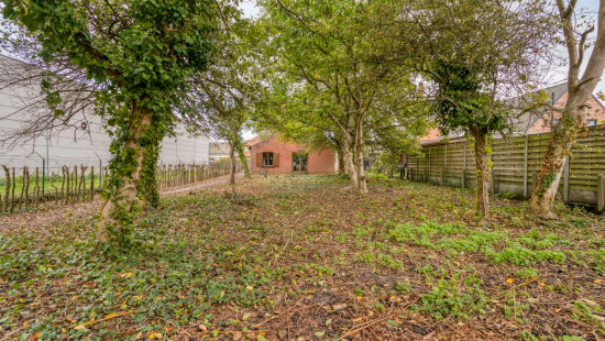 Bossenstraat - 37 - - 8710