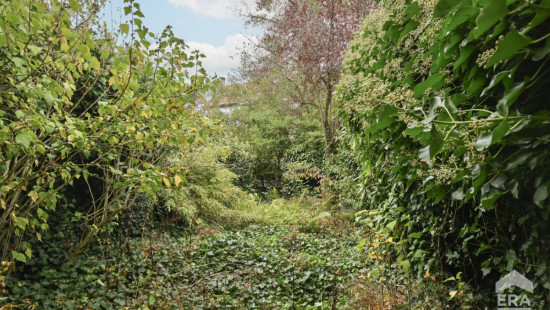 Rue de la Pêcherie - 208 - 1 - 1180