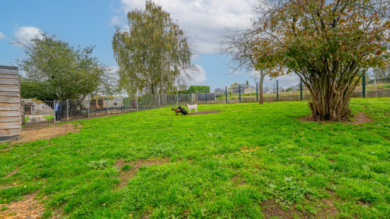 Rue de l'Arbre Saint-Michel - 347 - - 4400