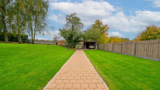 Rue de l'Arbre Saint-Michel - 347 - - 4400