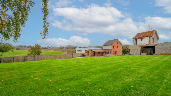 Rue de l'Arbre Saint-Michel - 347 - - 4400