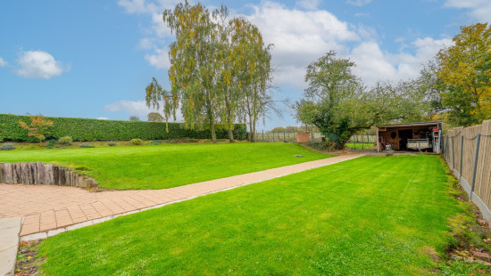 Rue de l'Arbre Saint-Michel - 347 - - 4400