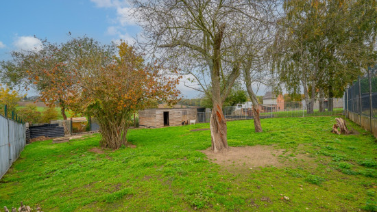 Rue de l'Arbre Saint-Michel - 347 - - 4400