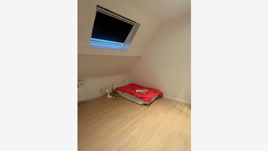 Wijdhagestraat - 65 - - 8530