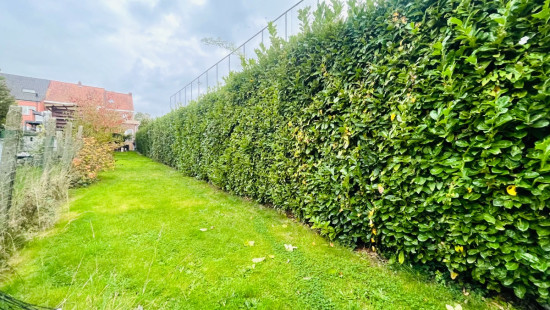 Dronckaertstraat - 479 - - 8930