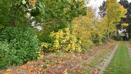 Berkendreef - 7 - - 3380