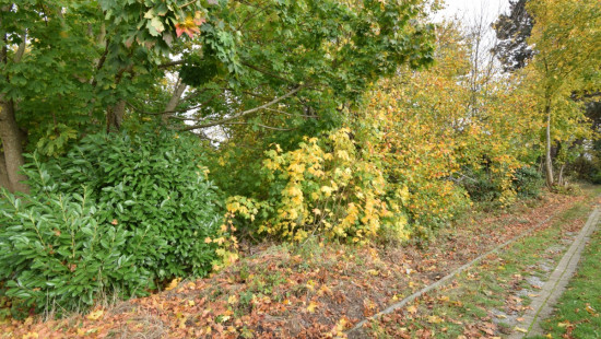 Berkendreef - 7 - - 3380