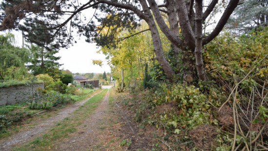 Berkendreef - 7 - - 3380