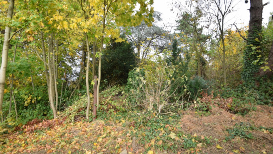 Berkendreef - 7 - - 3380