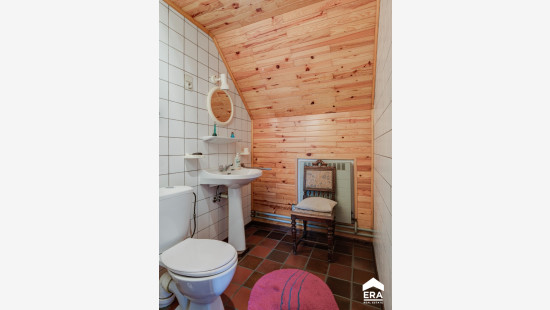 Dennenweg - 36 - - 3520